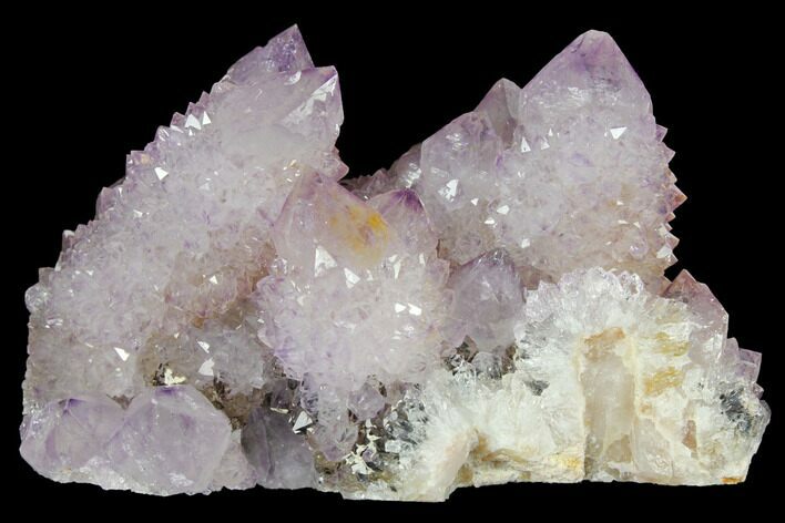 Cactus Quartz (Amethyst) Crystal Cluster - South Africa #132520